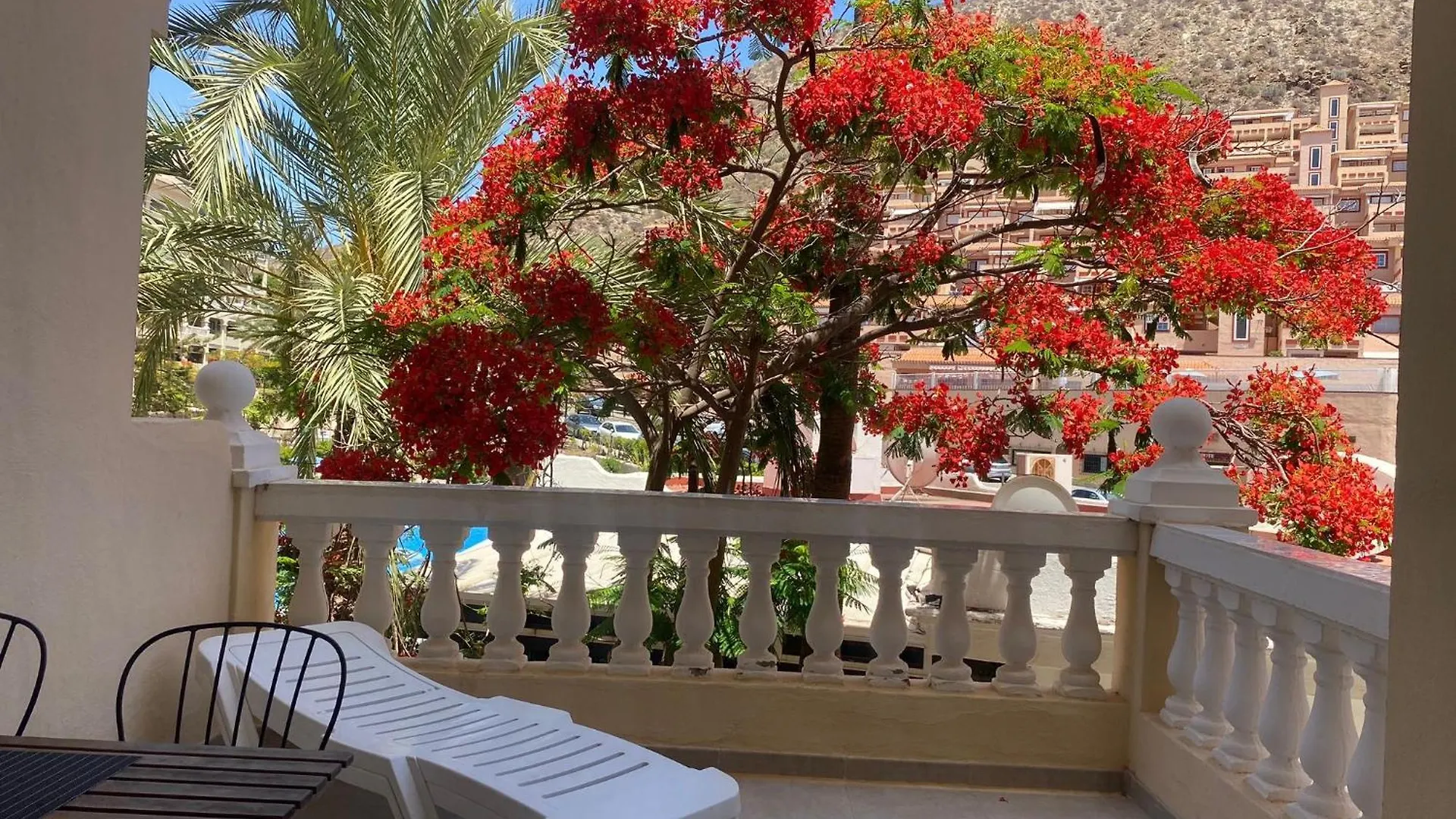 Castle Harbour Samuel'S Studio Flat By Lovetenerife Los Cristianos